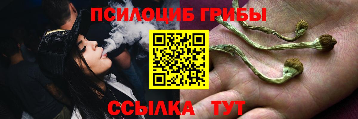 даркнет сайт  Псилоцибиновые грибы прущие грибы  Вход с VPN  Пугачёв  Псилоцибиновые грибы мицелий 